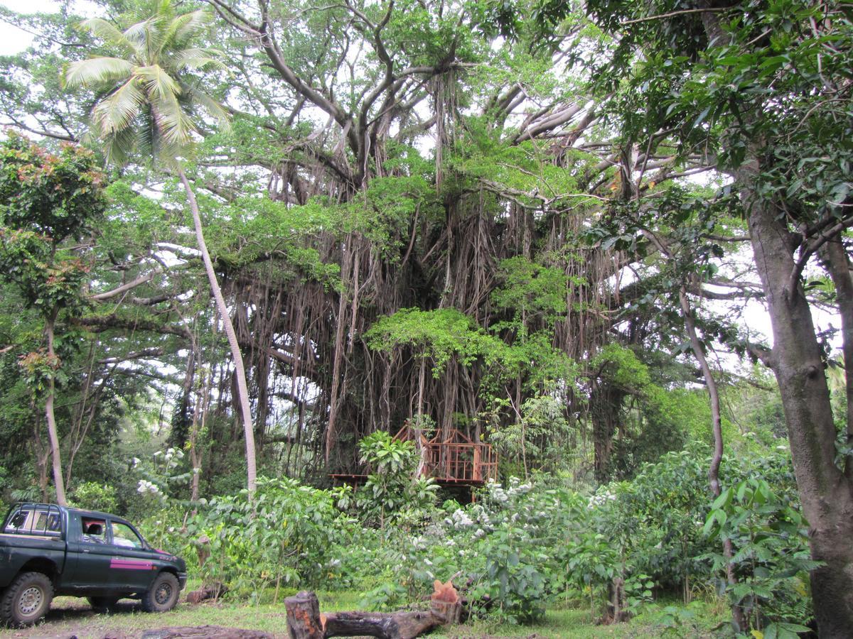 Yasur View Bungalows Loanengo Buitenkant foto